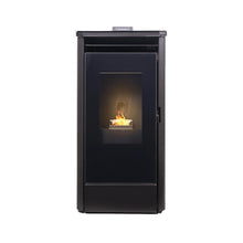 Estufa de pellets negra con puerta frontal de vidrio y llama visible en interior